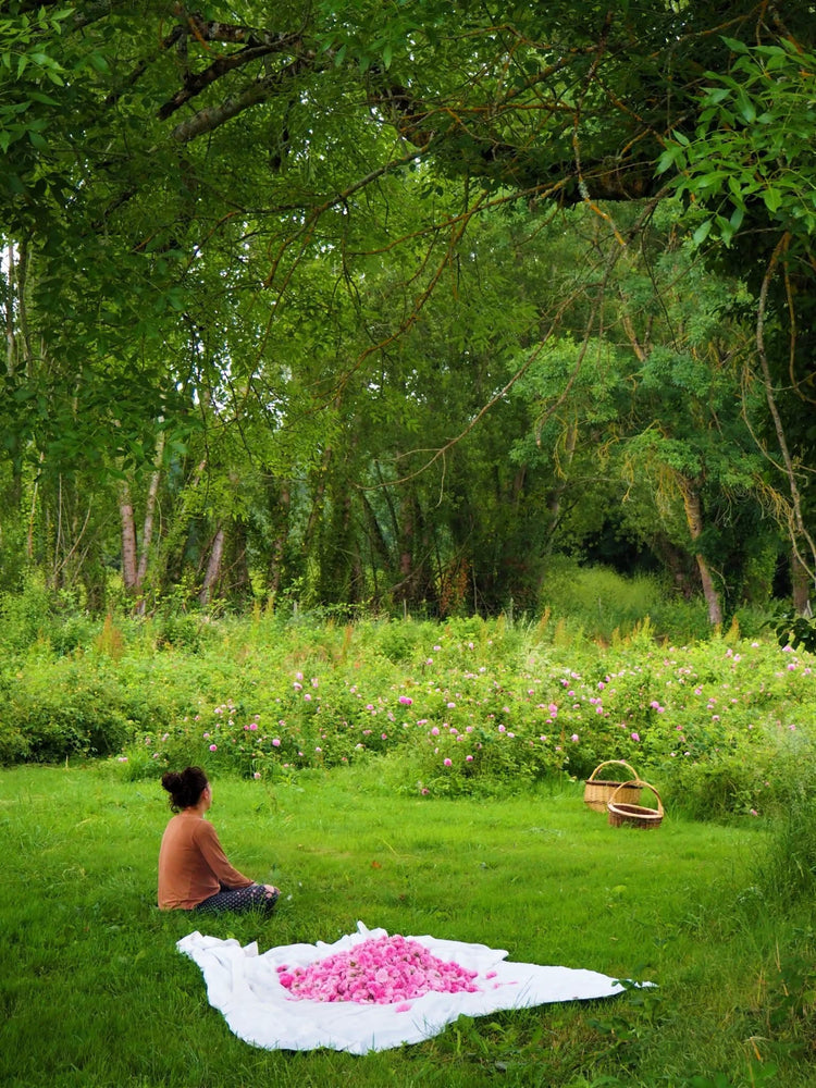 French Artisanal Soaps & Perfume Oils