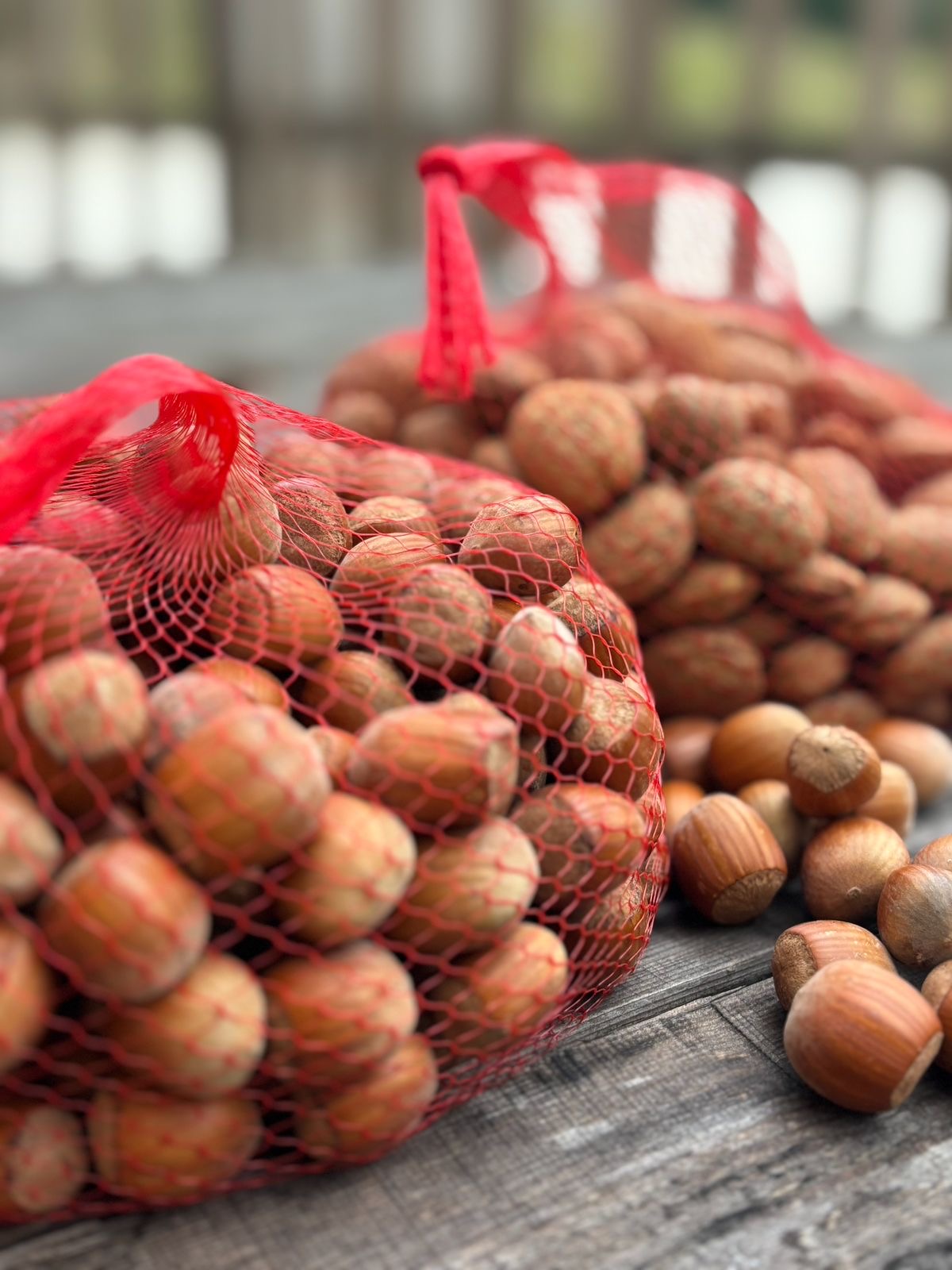 Pure Organic Hazelnut Butter — Single-Origin, Small-Batch