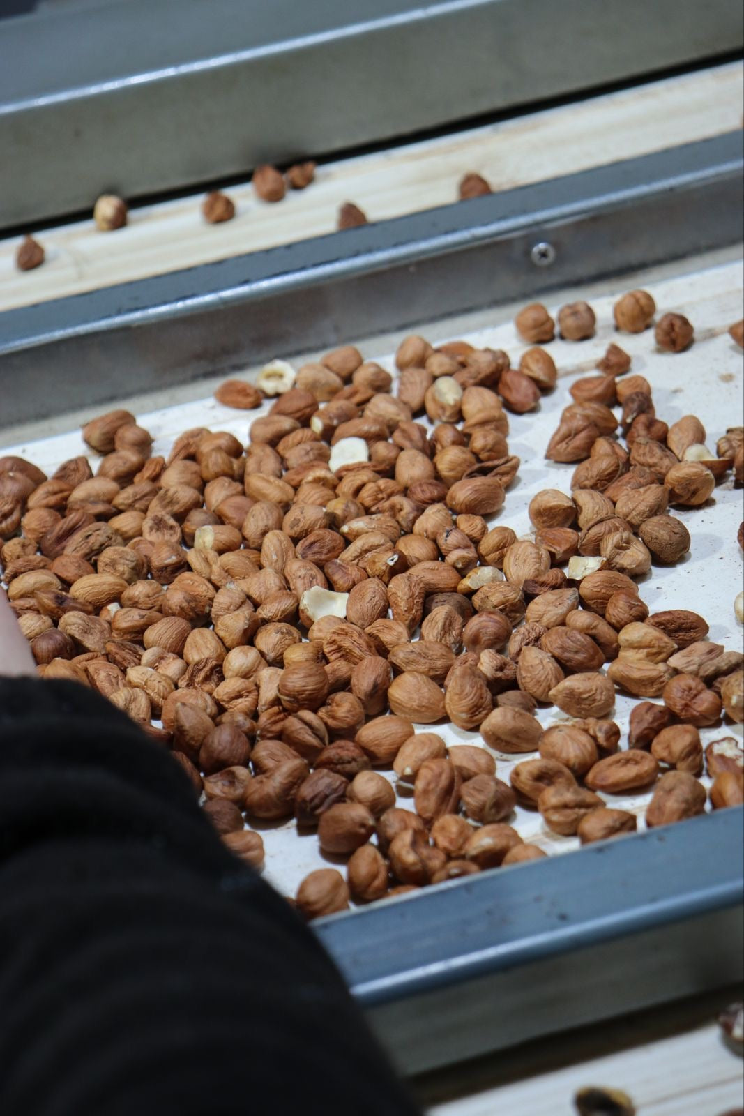 Pure Organic Hazelnut Butter — Single-Origin, Small-Batch