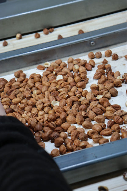 Pure Organic Hazelnut Butter — Single-Origin, Small-Batch