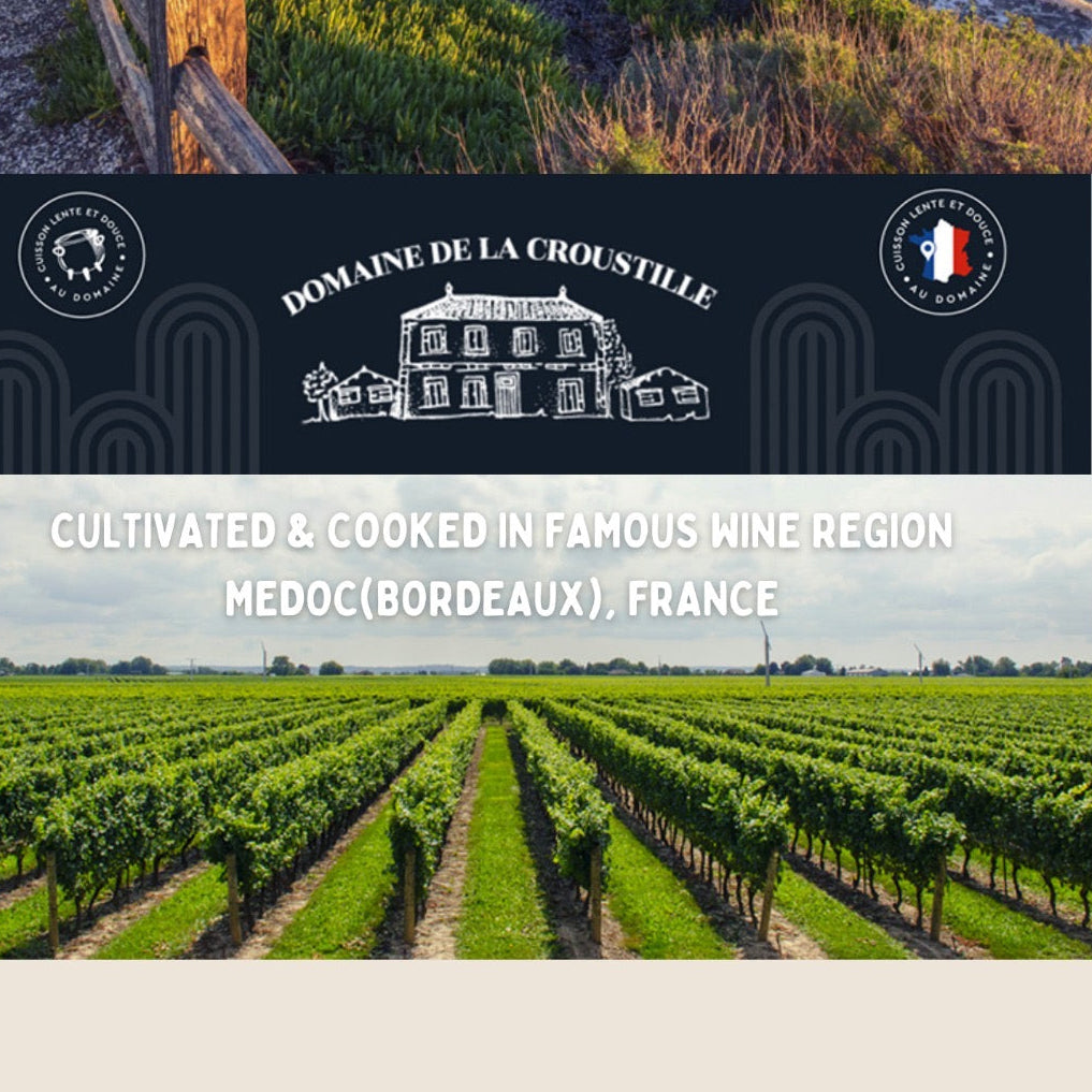Promotional image for Domaine de la Croustille sea salt, featuring a coastal landscape and vineyards.
