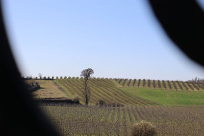 Pure Organic Hazelnut Butter — Single-Origin, Small-Batch